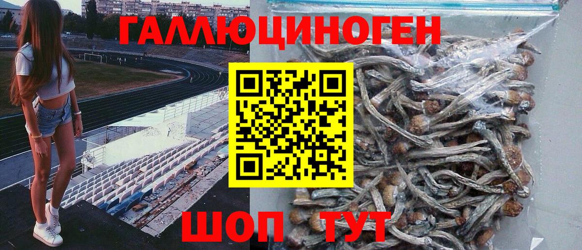 Псилоцибиновые грибы MAGIC MUSHROOMS Псков