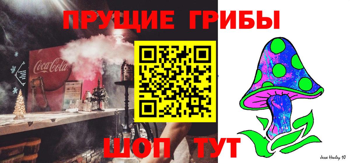 Псков  Псилоцибиновые грибы мухоморы  Вход с VPN 